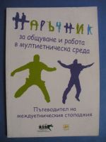 Наръчник за общуване и работа в мултиетническа среда, Пътеводител на междуетническия стопаджия